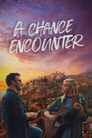 A Chance Encounter 2022 one on netflix