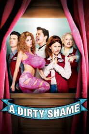 A Dirty Shame 2004 one on netflix