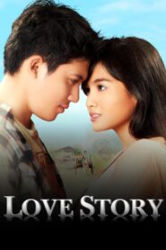Love Story 2011 one on netflix