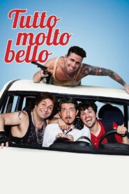 Tutto molto bello 2014 one on netflix