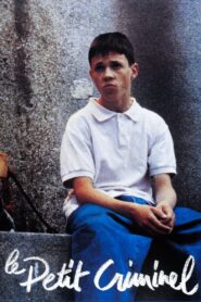 The Little Gangster 1990 one on netflix