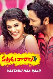 Vastadu Naa Raju 2011 one on netflix