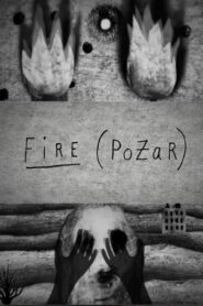Fire (Pożar) 2015 one on netflix