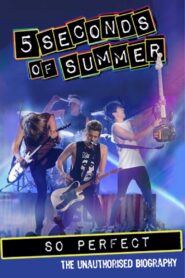 5 Seconds of Summer: So Perfect 2014 one on netflix