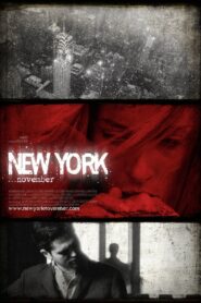 New York November 2011 one on netflix