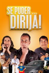 Se Puder… Dirija! 2013 one on netflix