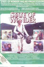 State of Wonder 1984 one on netflix