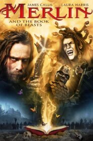 Merlin and the Book of Beasts 2009 one on netflix