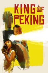 King of Peking 2017 one on netflix
