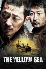 The Yellow Sea 2010 one on netflix