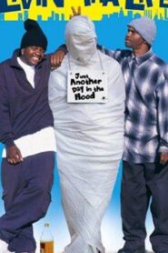 Livin’ tha Life 2003 one on netflix