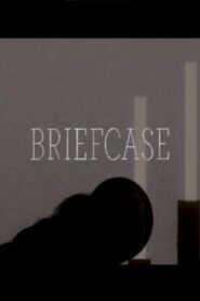 Briefcase 2011 one on netflix