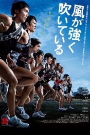 Feel the Wind 2009 one on netflix