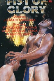 Fist of Glory 1991 one on netflix