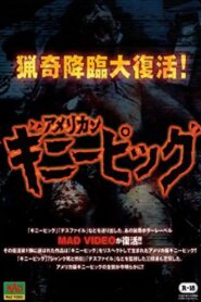 American Guinea Pig: Bouquet of Guts and Gore 1988 one on netflix