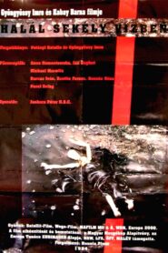 Death in Shallow Water 1994 one on netflix