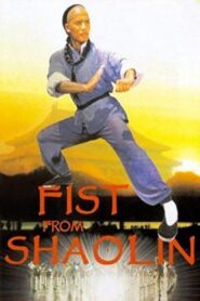 Fist from Shaolin 1993 one on netflix