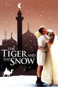 The Tiger and the Snow 2005 one on netflix