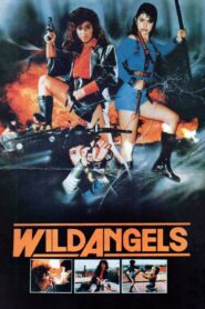 Wild Angels 1989 one on netflix