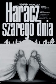 Tribute to a Gray Day 1984 one on netflix