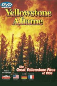Yellowstone Aflame 1989 one on netflix