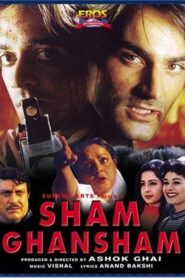Sham Ghansham 1998 one on netflix
