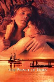 The Prince of Tides 1991 one on netflix