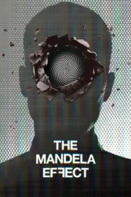 The Mandela Effect 2019 one on netflix