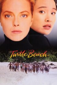 Turtle Beach 1992 one on netflix