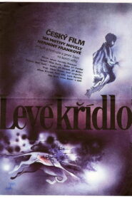 Levé křídlo 1984 one on netflix