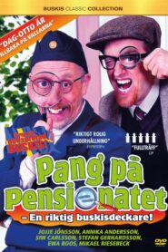 Pang på pensionatet 2011 one on netflix