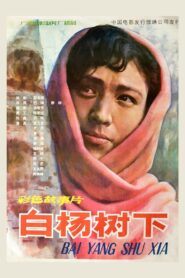 白杨树下 1983 one on netflix