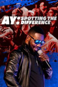 AY: Spotting the Difference 2023 one on netflix