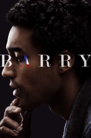 Barry 2016 one on netflix