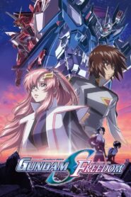 Mobile Suit Gundam SEED FREEDOM 2024 one on netflix