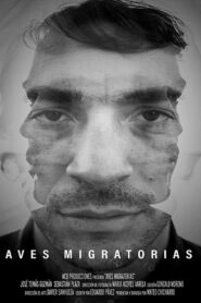 Migratory Birds 2018 one on netflix