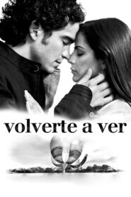 Volverte a ver 2008 one on netflix