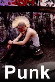 Punk 2012 one on netflix