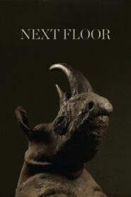 Next Floor 2008 one on netflix