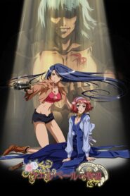 Sisters of Wellber – Elegy for a Sad Warrior 2007 one on netflix