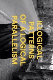 Illogical Patterns of a Logical Parallelism 2011 one on netflix
