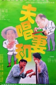 夫唱妻和 1996 one on netflix