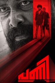 Pani 2024 one on netflix