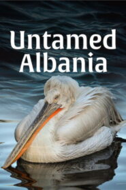 Untamed Albania 2018 one on netflix