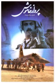 The Silent Flight 1999 one on netflix