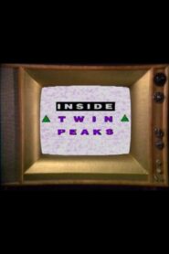 Inside Twin Peaks 1990 one on netflix