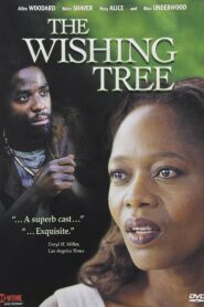 The Wishing Tree 1999 one on netflix
