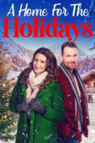 A Home for the Holidays 2023 one on netflix