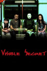 Visible Secret 2001 one on netflix