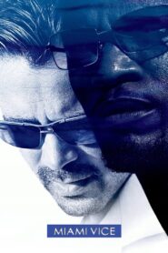 Miami Vice 2006 one on netflix